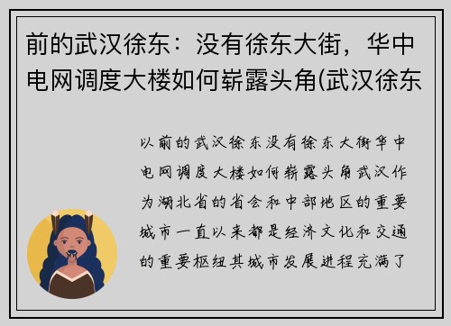前的武汉徐东：没有徐东大街，华中电网调度大楼如何崭露头角(武汉徐东变电站)