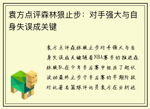 袁方点评森林狼止步：对手强大与自身失误成关键